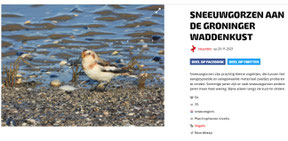 Mooiste foto's Vroege Vogels