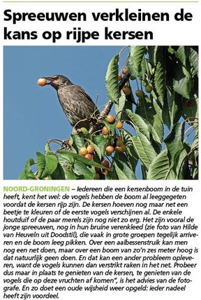 Ommelander Courant 15-07-2021