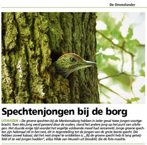 Ommelander Courant 24-06-2021