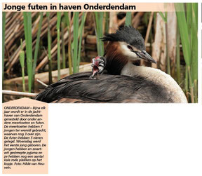 Ommelander Courant 17-05-2021