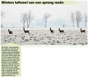 Ommelander Courant 06-02-2025