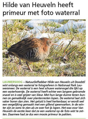 Ommelander Courant 19-02-2025