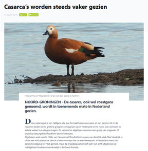Ommelander Courant 23-02-2025