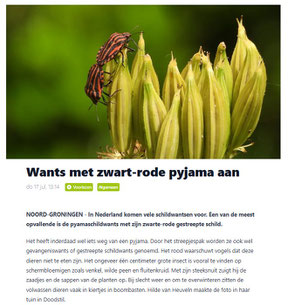 Ommelander Courant 17-07-2025