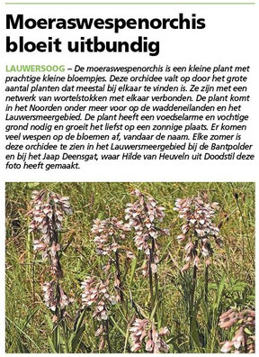 Ommelander Courant 10-07-2023