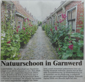 Ommelander Courant 06-07-2020