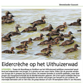 Ommelander Courant 18-07-2024