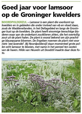 Ommelander Courant 25-07-2024
