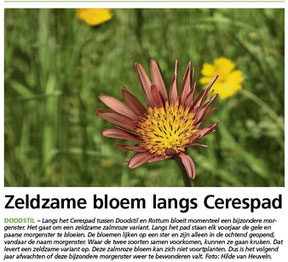 Ommelander Courant 06-06-2023