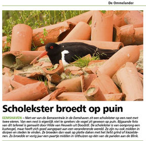 Ommelander Courant 31-05-2021