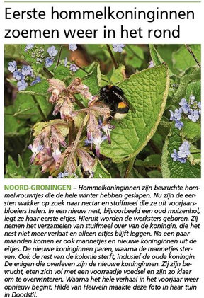 Ommelander Courant 23-03-2023