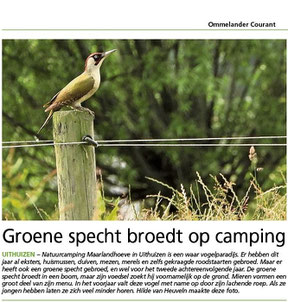 Ommelander Courant 23-06-2022