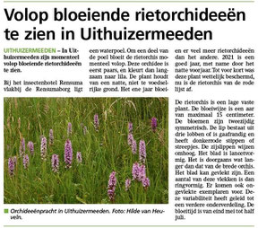 Ommelander Courant 01-07-2021