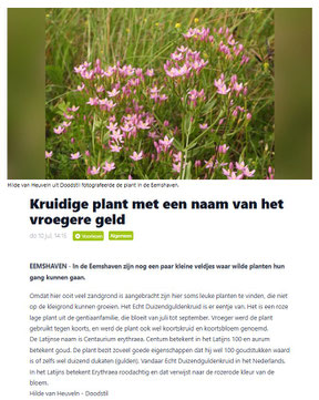 Ommelander Courant 10-07-2025
