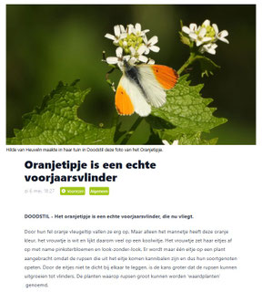 Ommelander Courant 08-05-2025