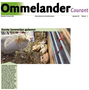 Ommelander Courant 10-01-2021