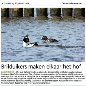 Ommelander Courant 30-01-2023