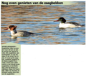 Ommelander Courant 26-02-2024