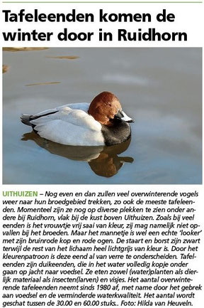 Ommelander Courant 21-02-2021