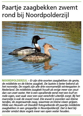 Ommelander Courant 16-03-2023