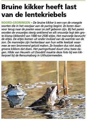 Ommelander Courant 18-03-2024