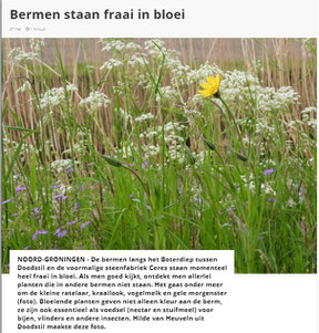 Ommelander Courant 27-05-2021