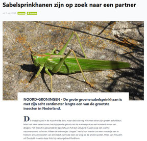 Ommelander Courant 12-09-2024