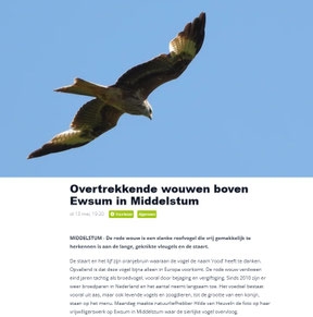 Ommelander Courant 15-05-2025