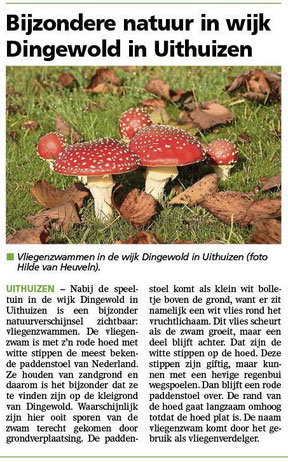 Ommelander Courant 28-10-2024