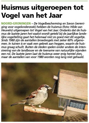 Ommelander Courant 29-01-2024