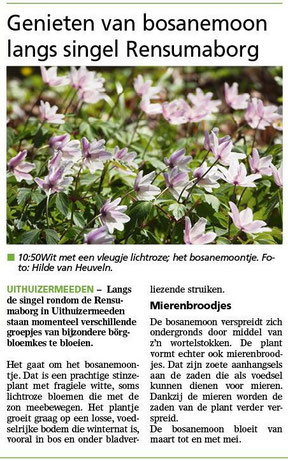 Ommelander Courant 07-04-2025