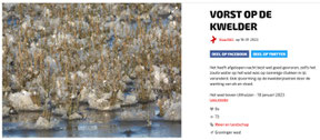 Mooiste foto's Vroege Vogels