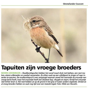 Ommelander Courant 11-04-2024