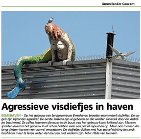 Ommelander Courant 04-07-2022