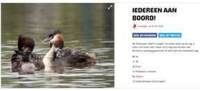 Mooiste foto's Vroege Vogels