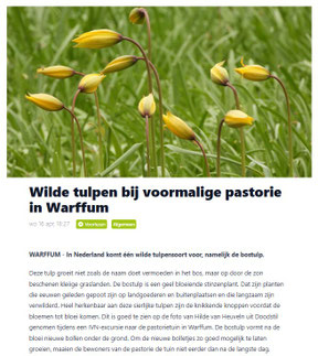 Ommelander Courant 17-04-2025
