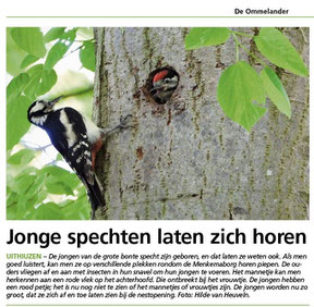 Ommelander Courant 03-06-2021