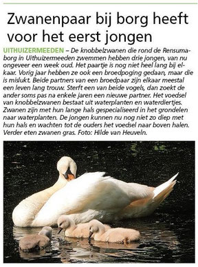 Ommelander Courant 05-06-2025
