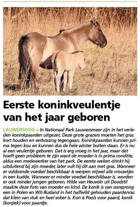 Ommelander Courant 01-02-2024