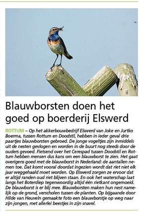 Ommelander Courant 13-06-2022