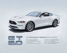 11X14 2019 2020 2021 2022 2023 Mustang GT PP1