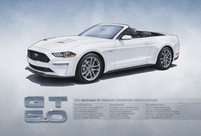 12X18  2019 2020 2021 2022 2023 Mustang GT PP1