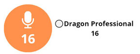 Dragon Professional 16