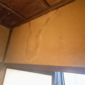 ハクビシンによる被害