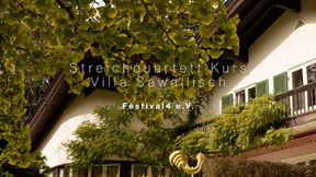 Festival4 e.V. - Streichquartettkurs