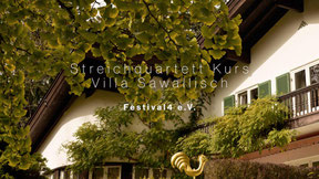 Festival4 e.V. - Streichquartettkurs