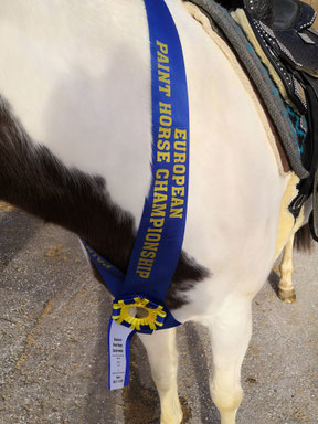 Siegerschärpe der European Paint Horse Championship