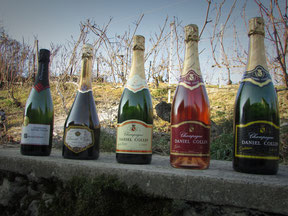 Les cinq cuvées de champagnes proposées par le vigneron champagne Daniel Collin : Champagne rosé, champagne tradition, cuvée sensations, cuvée grande réserve et cuvée Esprit Shiraz