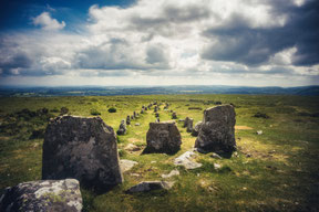 Alignement Cosdon stone - Angleterre