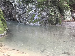 千代が淵下流域